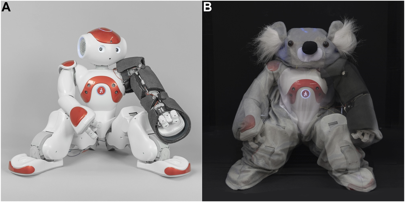Nao Social Robot