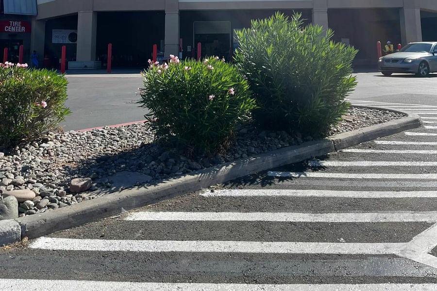 Costco Photo Center photo book