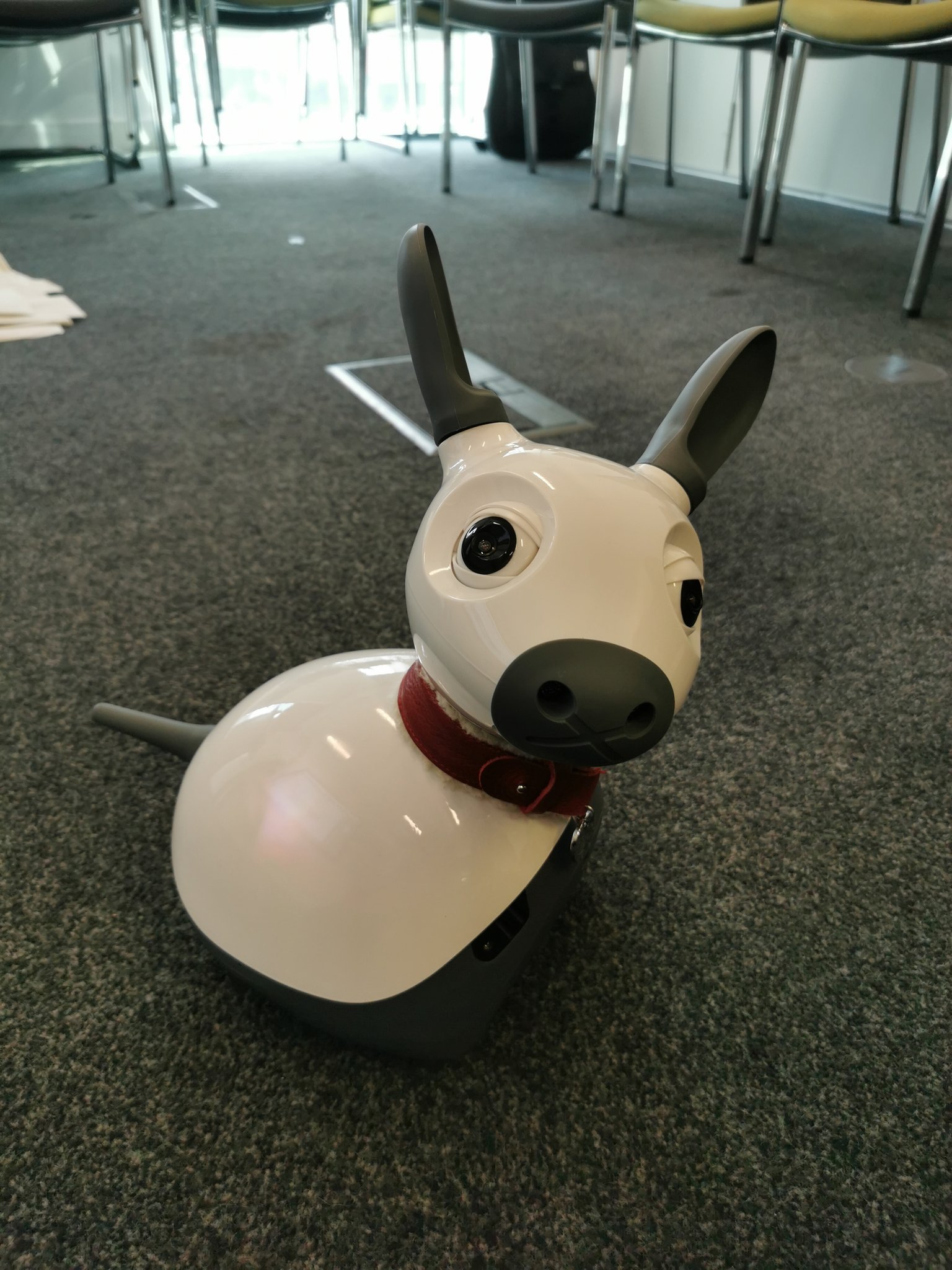 MiRo Consequential Robotics