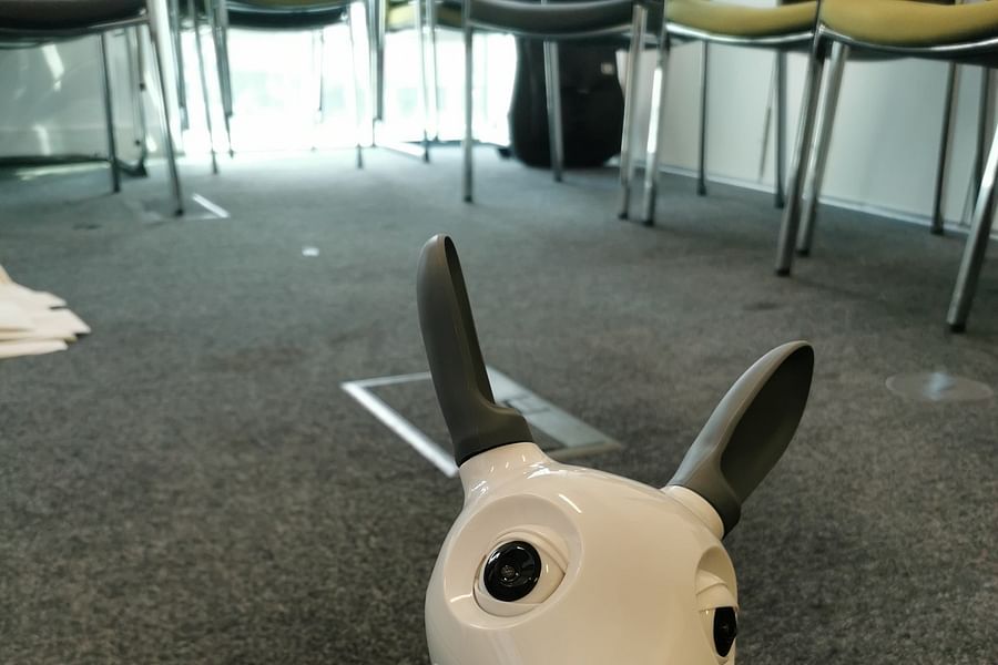 MiRo Consequential Robotics