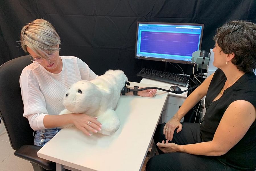 Paro Therapeutic Robot