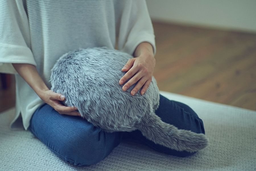 Qoobo Wagging Tail Pillow