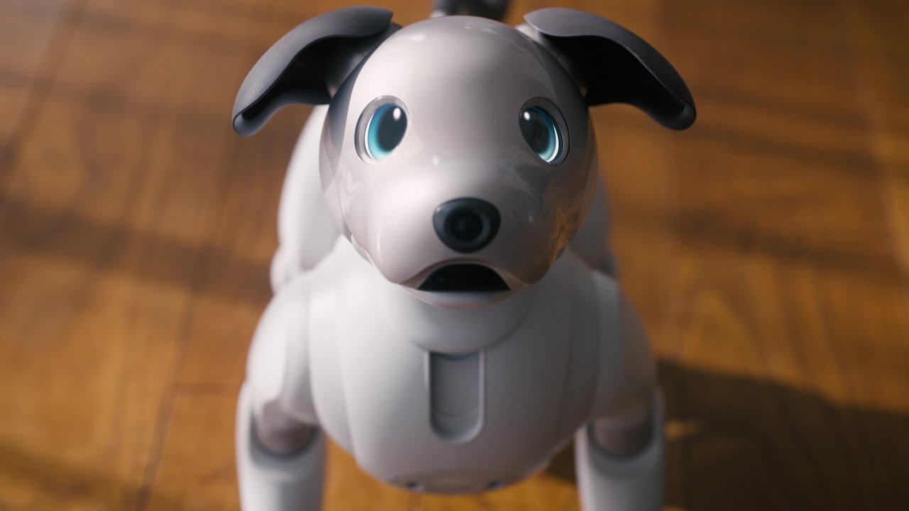 Sony Aibo Robot Dog