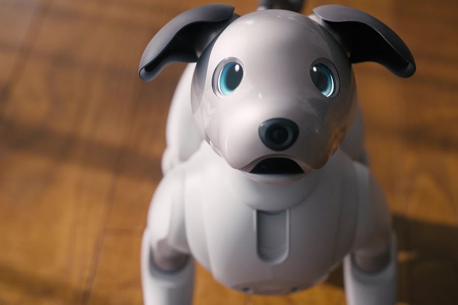 Sony Aibo Robot Dog
