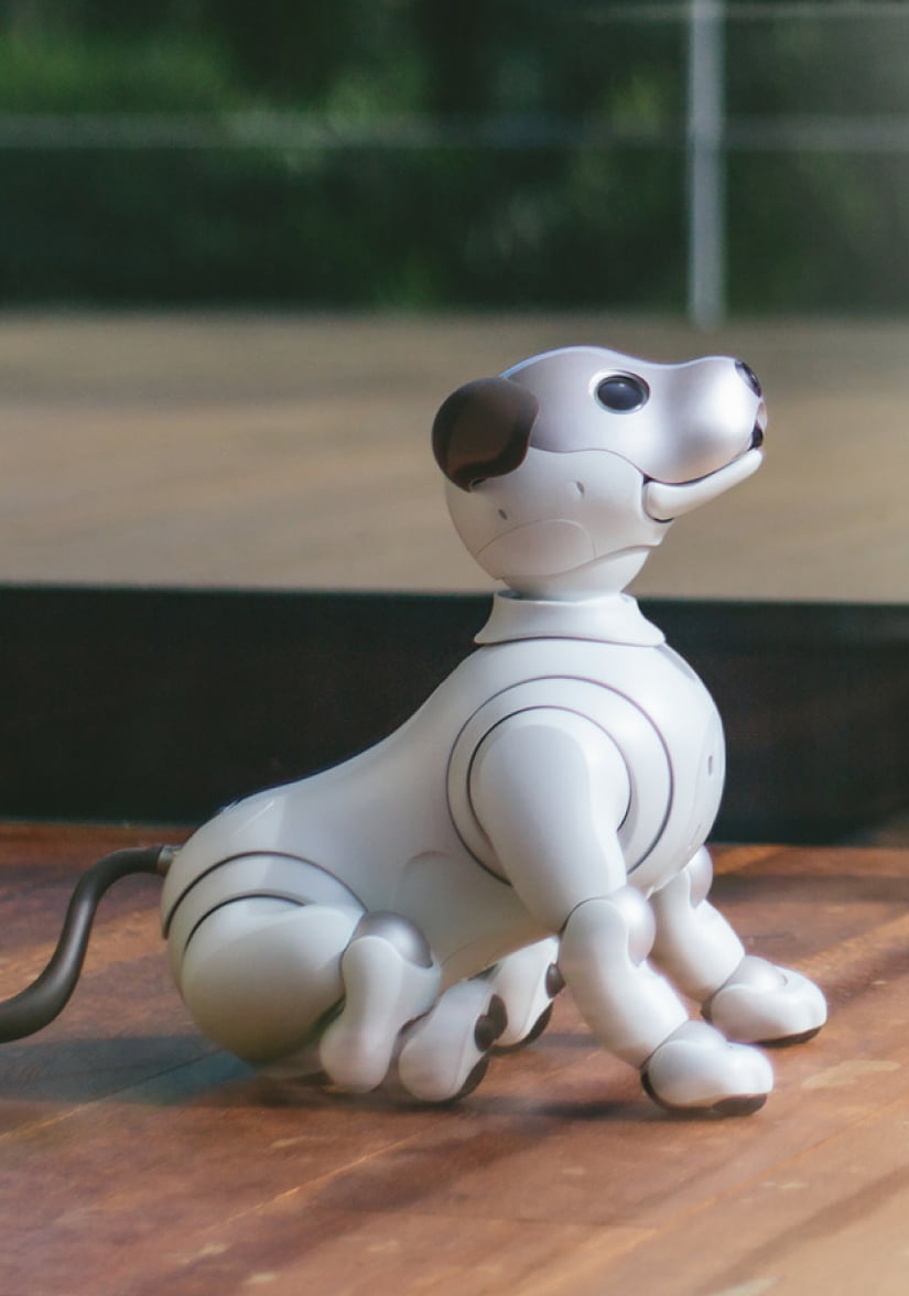 Sony Aibo